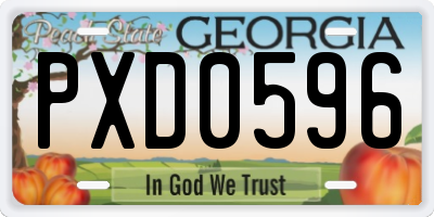 GA license plate PXD0596