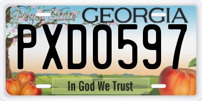 GA license plate PXD0597