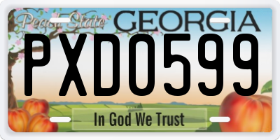 GA license plate PXD0599