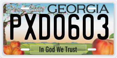 GA license plate PXD0603