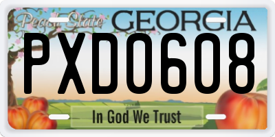 GA license plate PXD0608