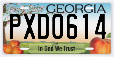 GA license plate PXD0614