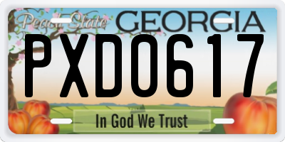 GA license plate PXD0617