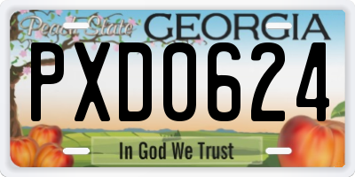 GA license plate PXD0624