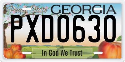 GA license plate PXD0630