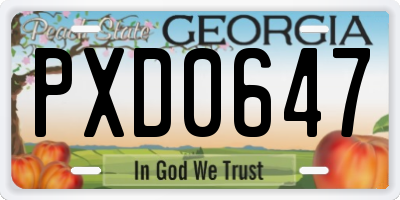 GA license plate PXD0647