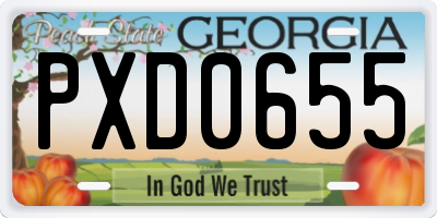 GA license plate PXD0655