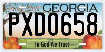 GA license plate PXD0658
