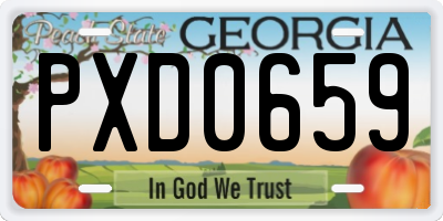 GA license plate PXD0659