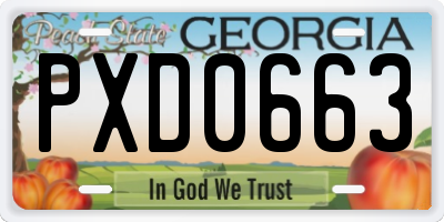 GA license plate PXD0663