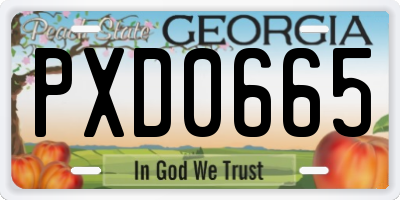 GA license plate PXD0665