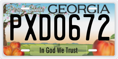 GA license plate PXD0672