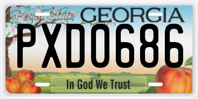 GA license plate PXD0686