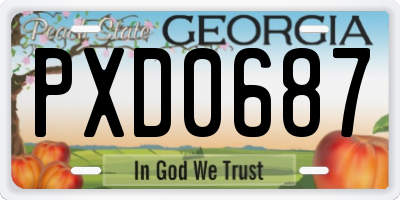 GA license plate PXD0687