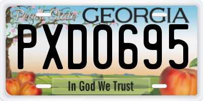 GA license plate PXD0695