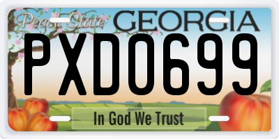 GA license plate PXD0699