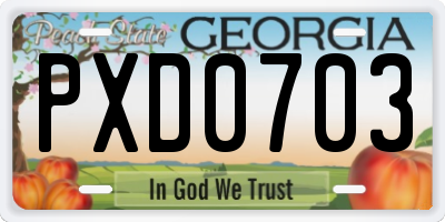 GA license plate PXD0703