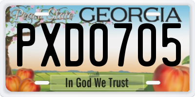 GA license plate PXD0705
