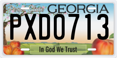 GA license plate PXD0713