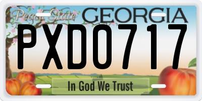 GA license plate PXD0717