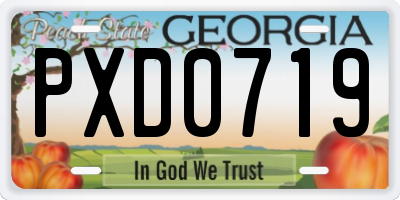 GA license plate PXD0719