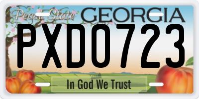GA license plate PXD0723