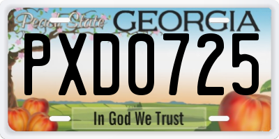 GA license plate PXD0725