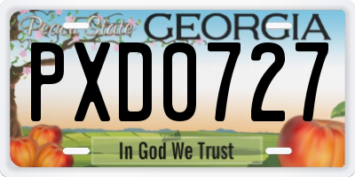 GA license plate PXD0727