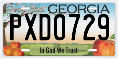 GA license plate PXD0729