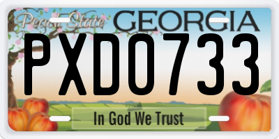 GA license plate PXD0733