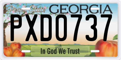 GA license plate PXD0737