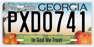 GA license plate PXD0741