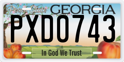 GA license plate PXD0743
