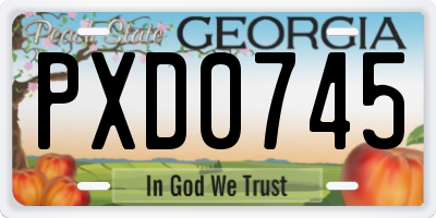 GA license plate PXD0745