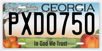 GA license plate PXD0750