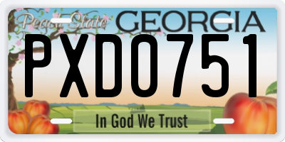 GA license plate PXD0751