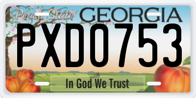 GA license plate PXD0753