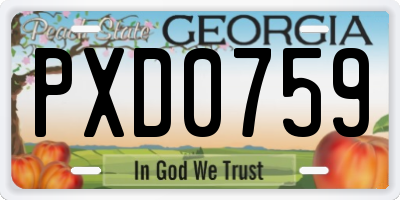 GA license plate PXD0759