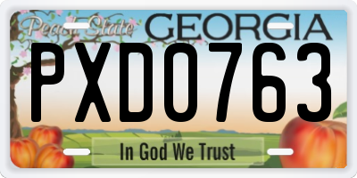 GA license plate PXD0763