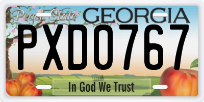 GA license plate PXD0767
