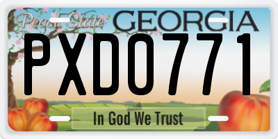 GA license plate PXD0771