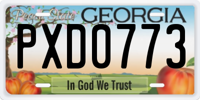GA license plate PXD0773