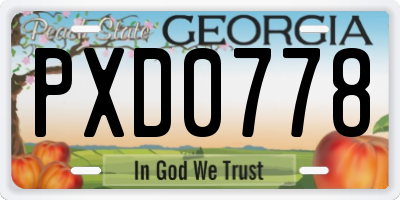 GA license plate PXD0778