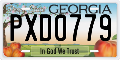 GA license plate PXD0779