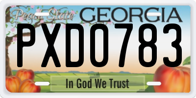 GA license plate PXD0783