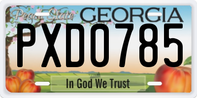 GA license plate PXD0785