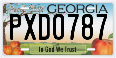 GA license plate PXD0787