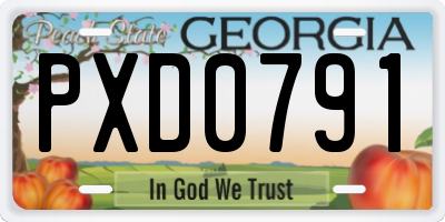 GA license plate PXD0791