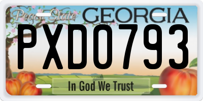 GA license plate PXD0793