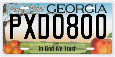 GA license plate PXD0800